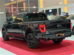 فۆرد F-150